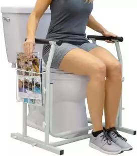 Stand Alone Toilet Rail