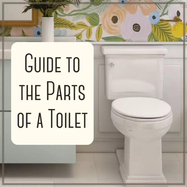 How to Choose the Best All-Around Raised Toilet Seat